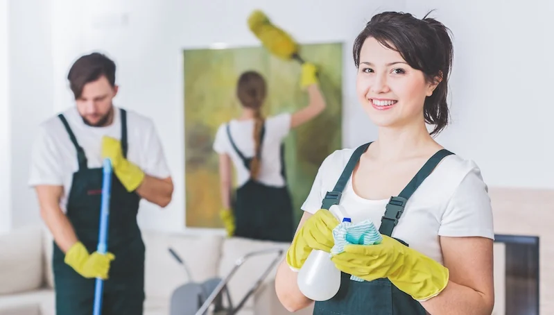 Ireland Cleaning Services professional cleaning team at work in a Dublin home