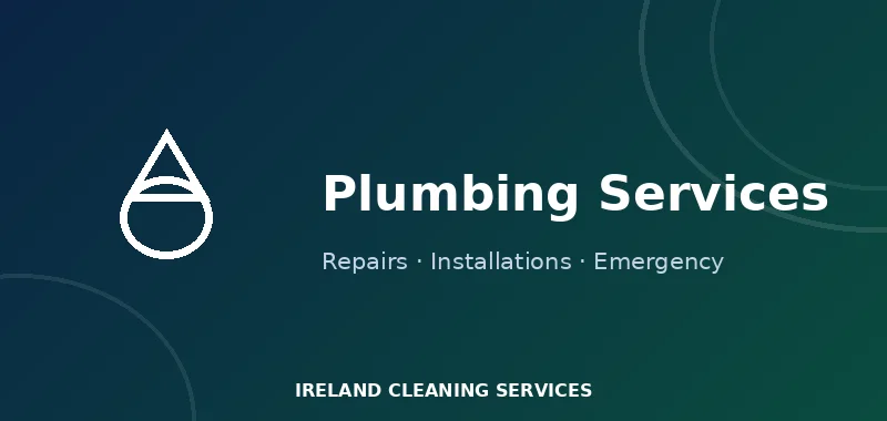 Plumber repairing a sink in a Dublin home