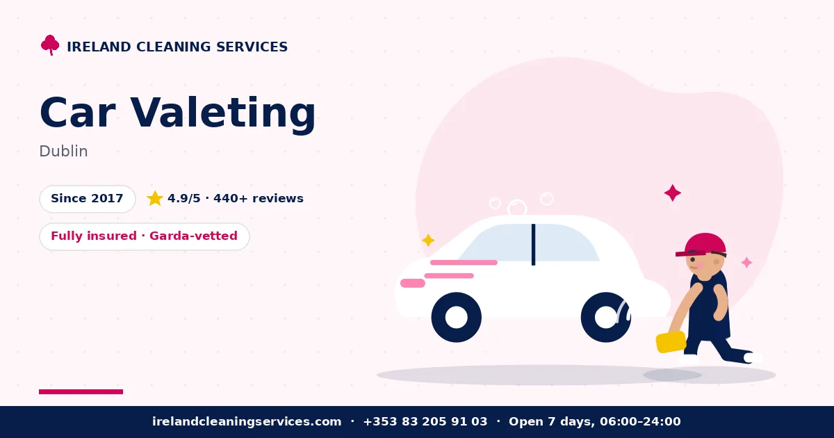 Car Detailing in Dublin by Ireland Cleaning Services — professional team at work