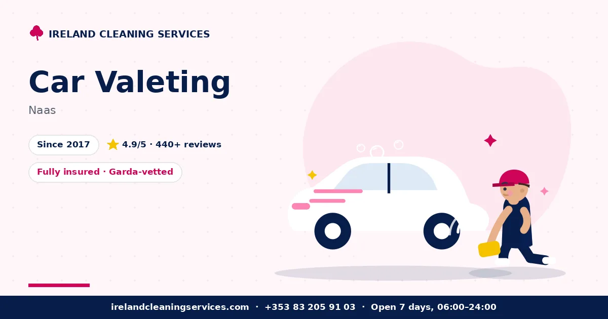 Car Valet in Naas by Ireland Cleaning Services — professional team at work