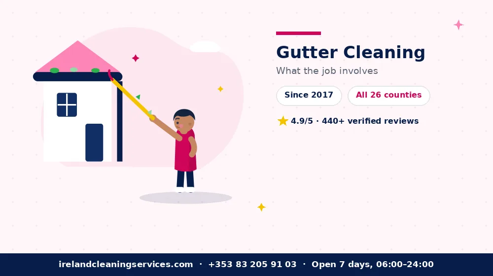 Gutter Cleaning in Ireland — detailed view of the work Ireland Cleaning Services carries out