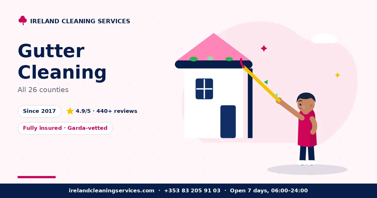 Gutter Cleaning in Ireland by Ireland Cleaning Services — professional team at work